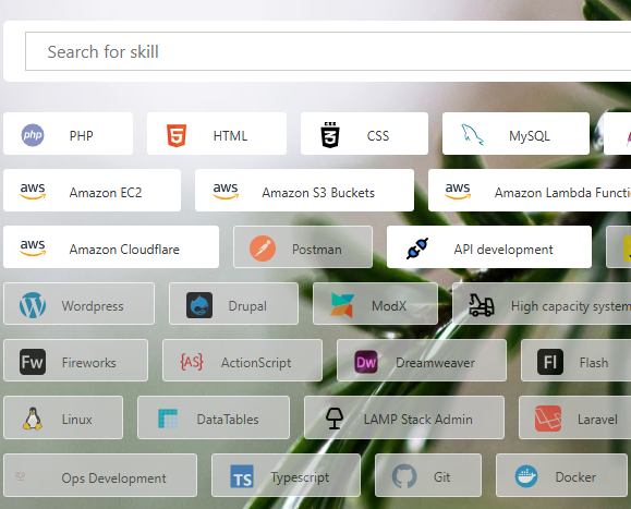 <p>Skills section screenshot</p>